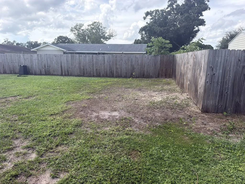 Cleared area in a residential backyard